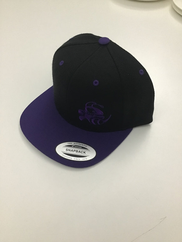 Discraft Two Tone Snapback Buzzz Logo Hat