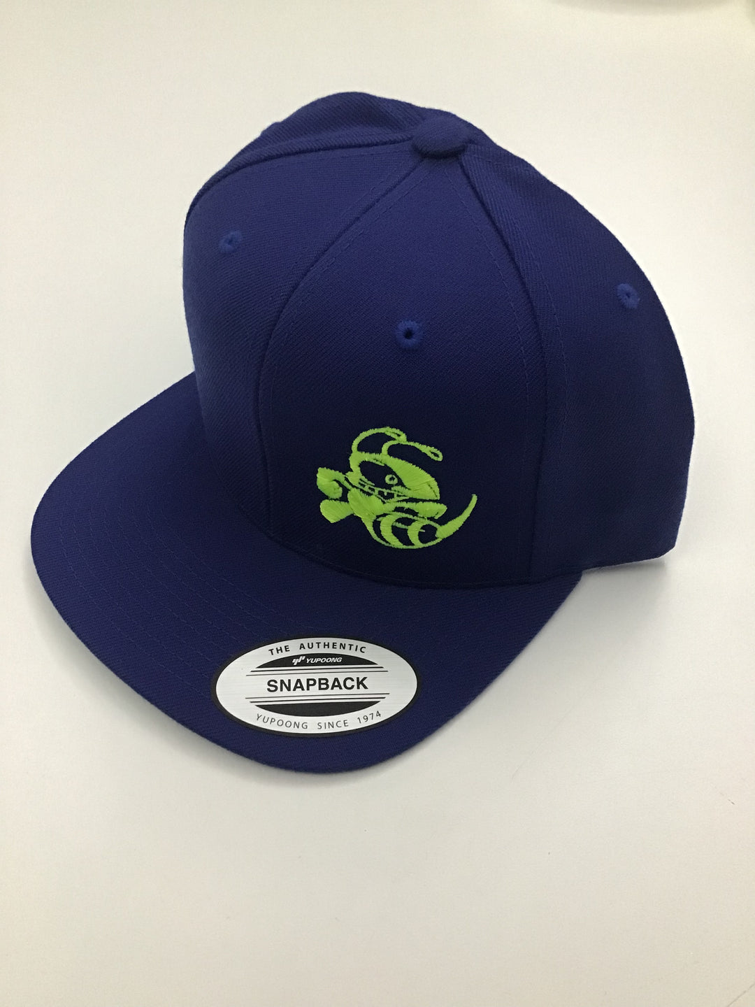 Discraft Two Tone Snapback Buzzz Logo Hat