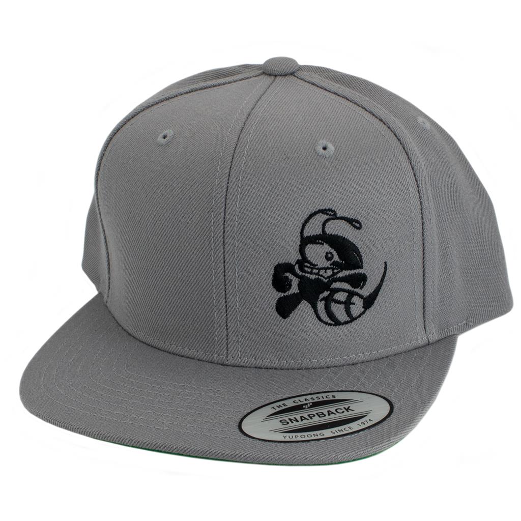 Discraft Solid Color Snapback Buzzz Logo Hat