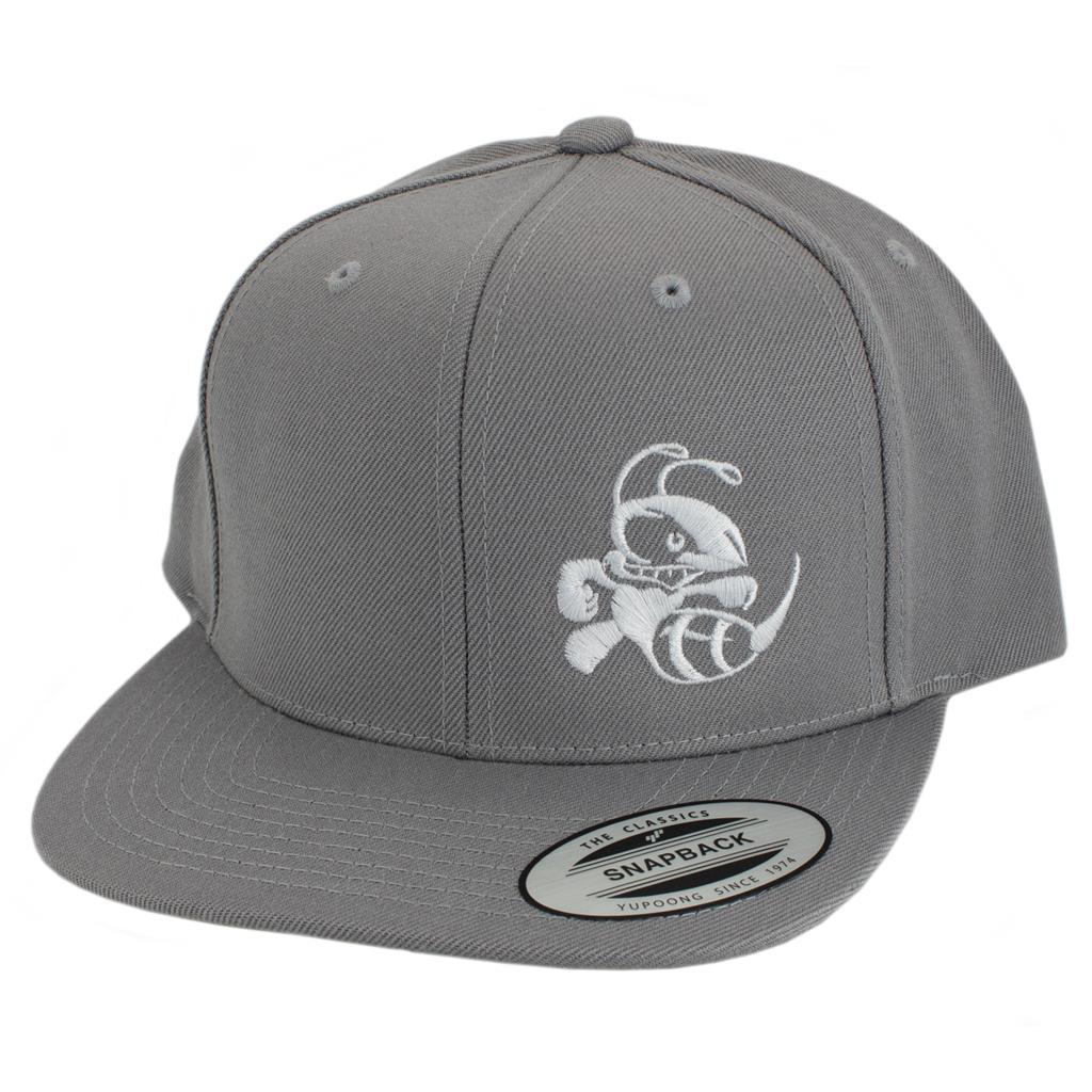 Discraft Solid Color Snapback Buzzz Logo Hat