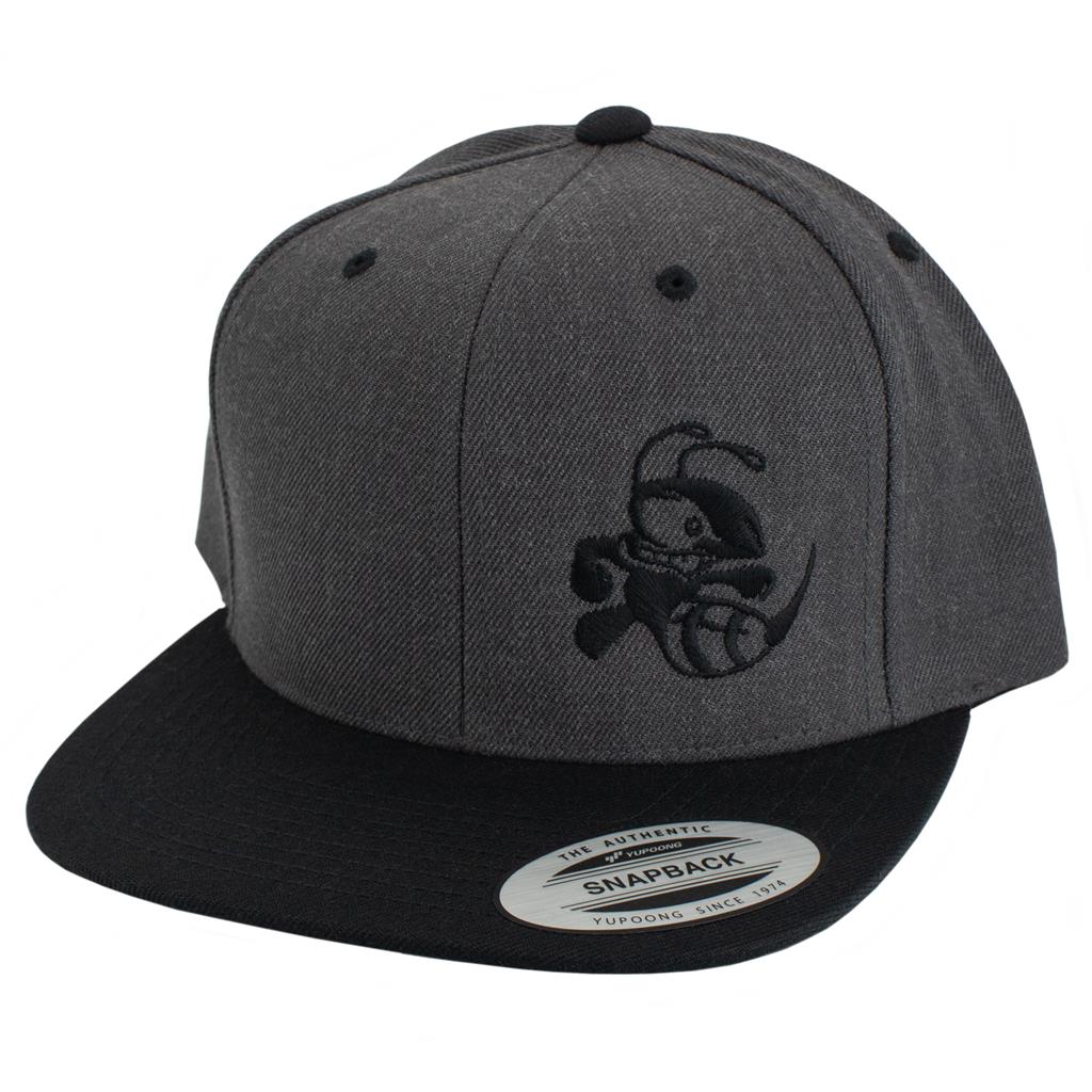 Discraft Two Tone Snapback Buzzz Logo Hat