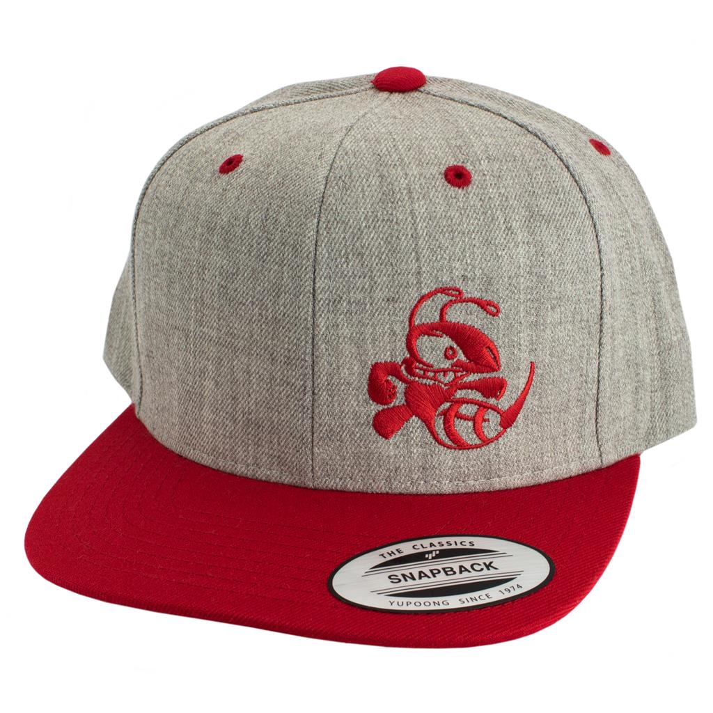 Discraft Two Tone Snapback Buzzz Logo Hat