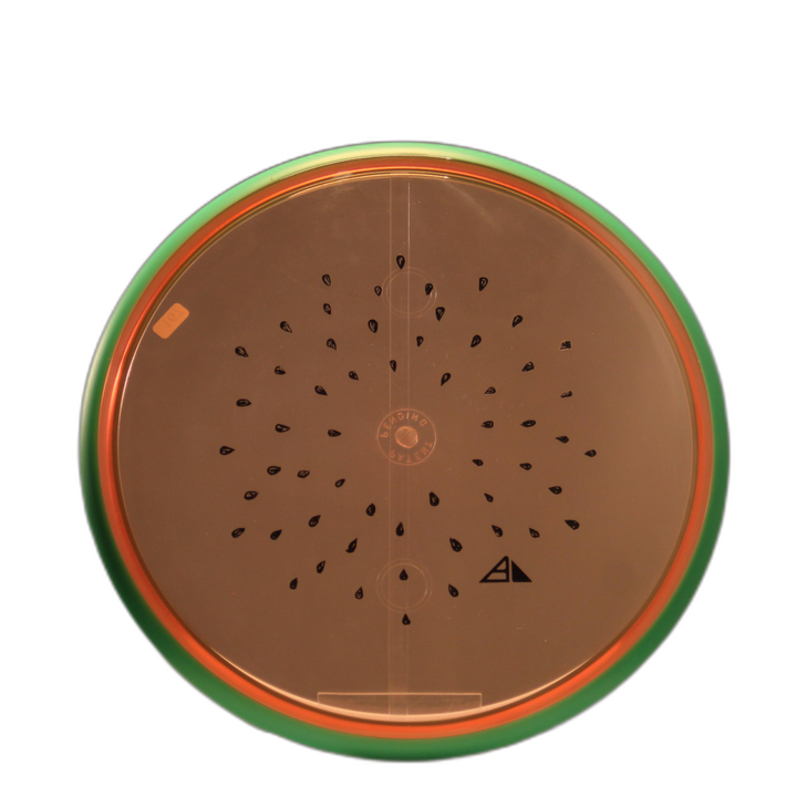 Watermelon Proton Theory